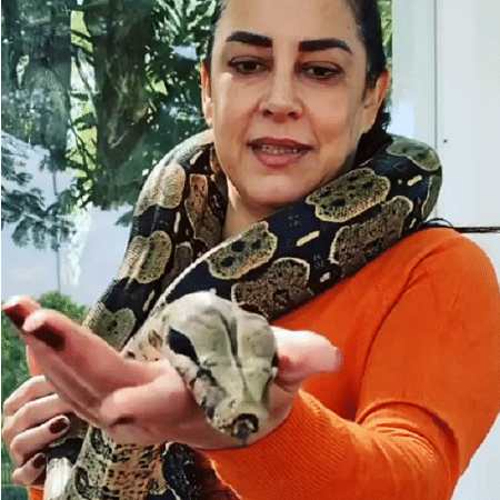 Silvia Abravanel mostra cobra aos seguidores Silvia Abravanel mostra cobra aos seguidores
