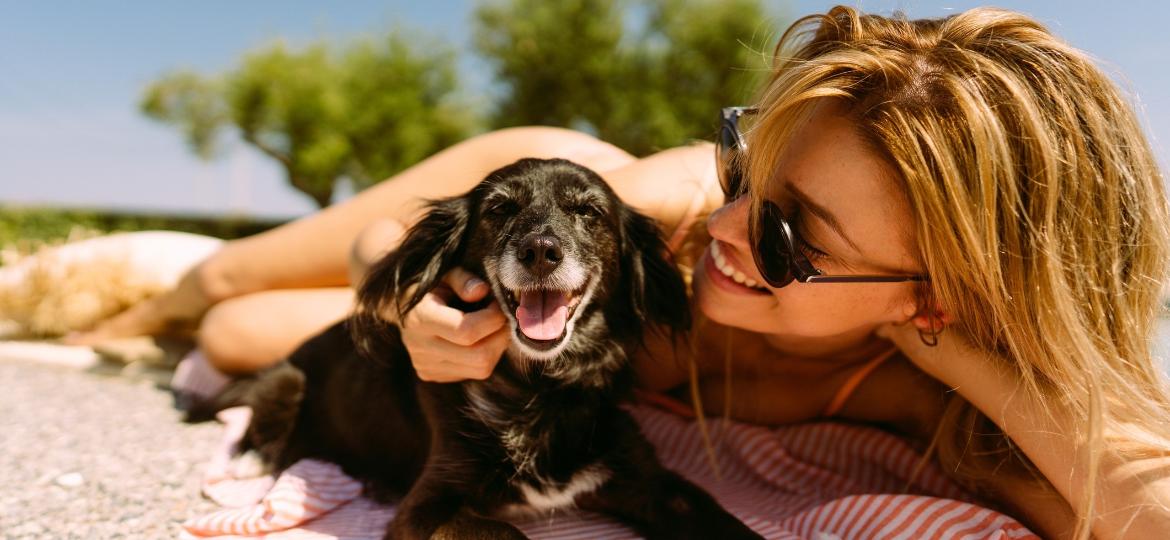 Dias mais quentes do verão podem representar um risco para a saúde do seu pet - Getty Images