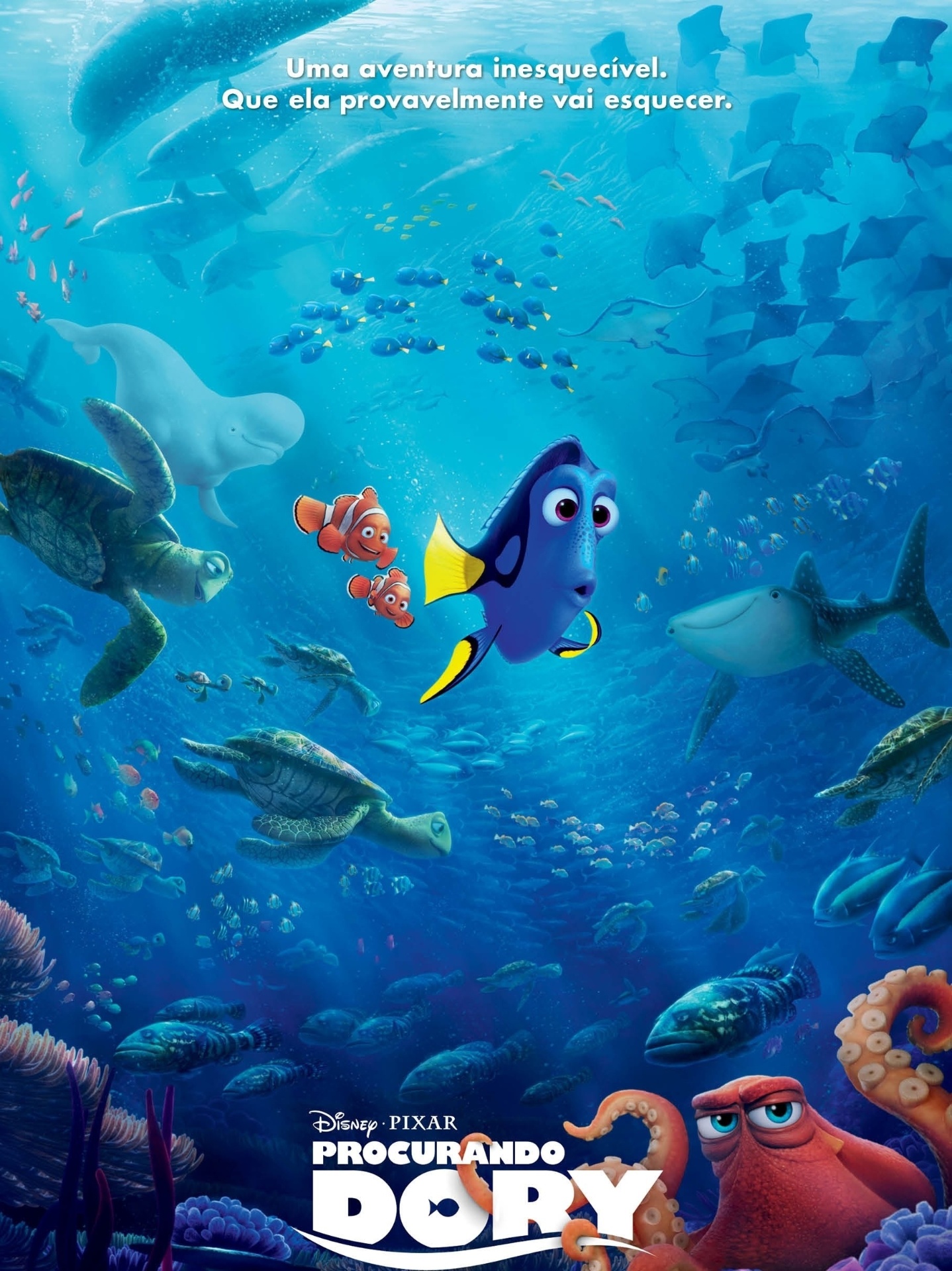 Pôster do filme "Procurando Dory" - Divulgação
