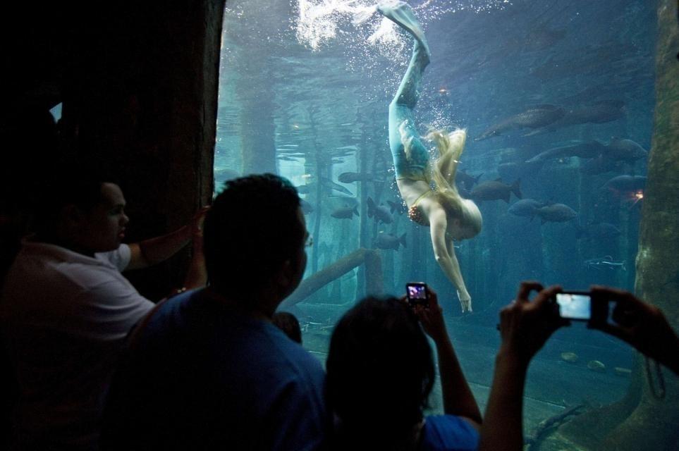 Sereia profissional, Mirella Ferraz é instrutora de Isis Valverde em "A Força do Querer" - Arquivo pessoal