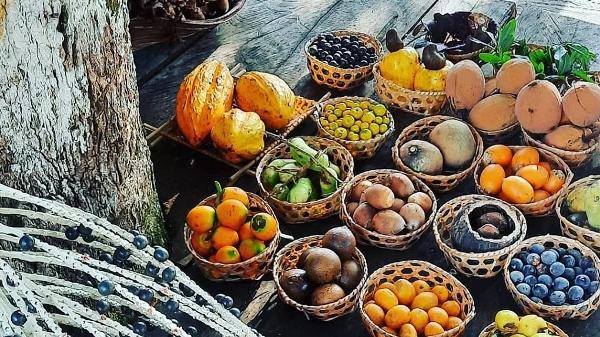 A diversidade de frutas de origem amazônica