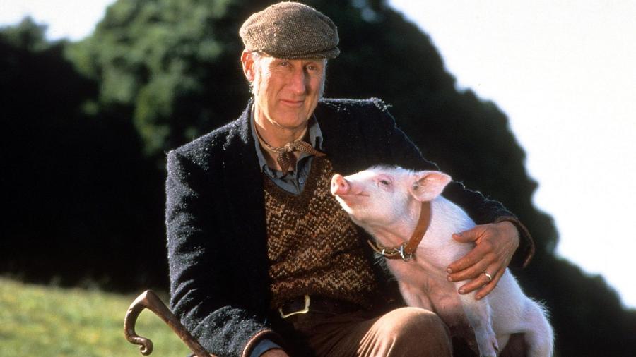 James Cromwell ajudou a salvar um porquinho - Divulgação