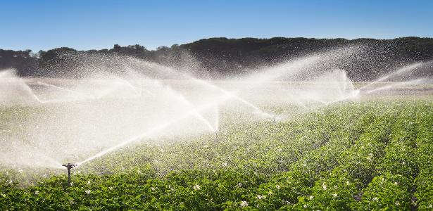 Retração do Fiagro, RJs cercam o agro: como fica o 'médio investidor'?