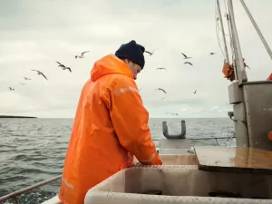 'Sumiços', assédios e ameaças: a vida perigosa dos observadores de pesca