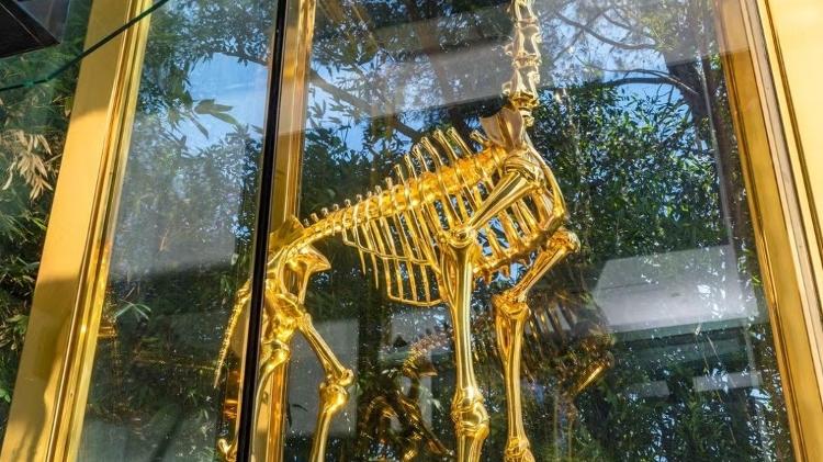 Réplica de girafa faz parte da decoração de casa de Ruyter 