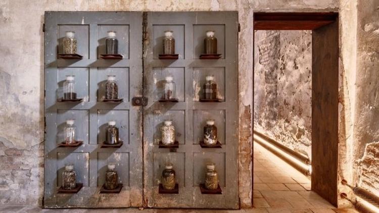 Instalação com diversos tipos de excrementos do museu - Divulgação - Divulgação