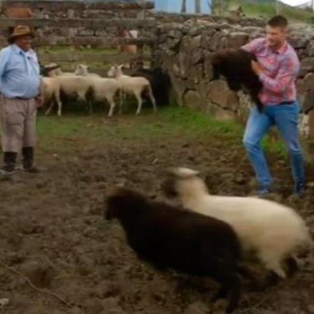 Rodrigo Hilbert ensina a abater filhote de ovelha no "Tempero de Família" - Reprodução/GNT - Reprodução/GNT