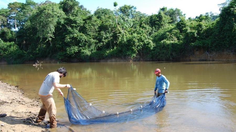 Pesquisadores preparam a rede para a coleta de peixes na Calha Norte. A região paraense é um dos tesouros da biodiversidade amazônica - Tiago Freitas