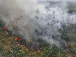 Crise climática: mundo pode não ter mais volta e isso me apavora