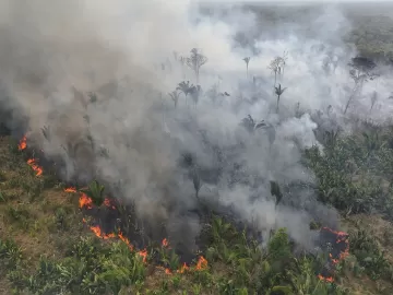 Carlos Nobre: Crise climática: mundo pode não ter mais volta e isso me apavora