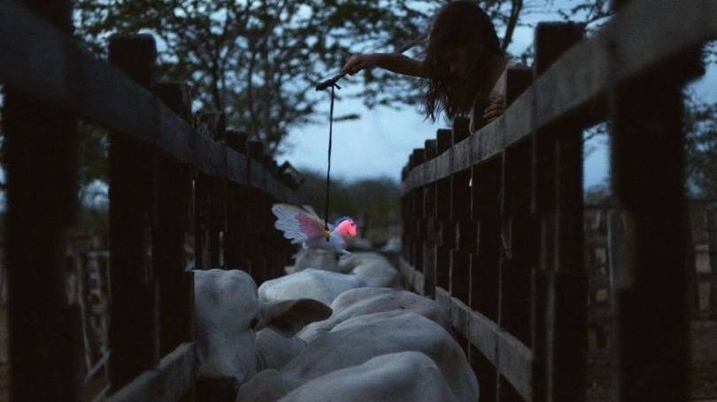 Cena de "Boi Neon", de Gabriel Mascaro - Divulgação