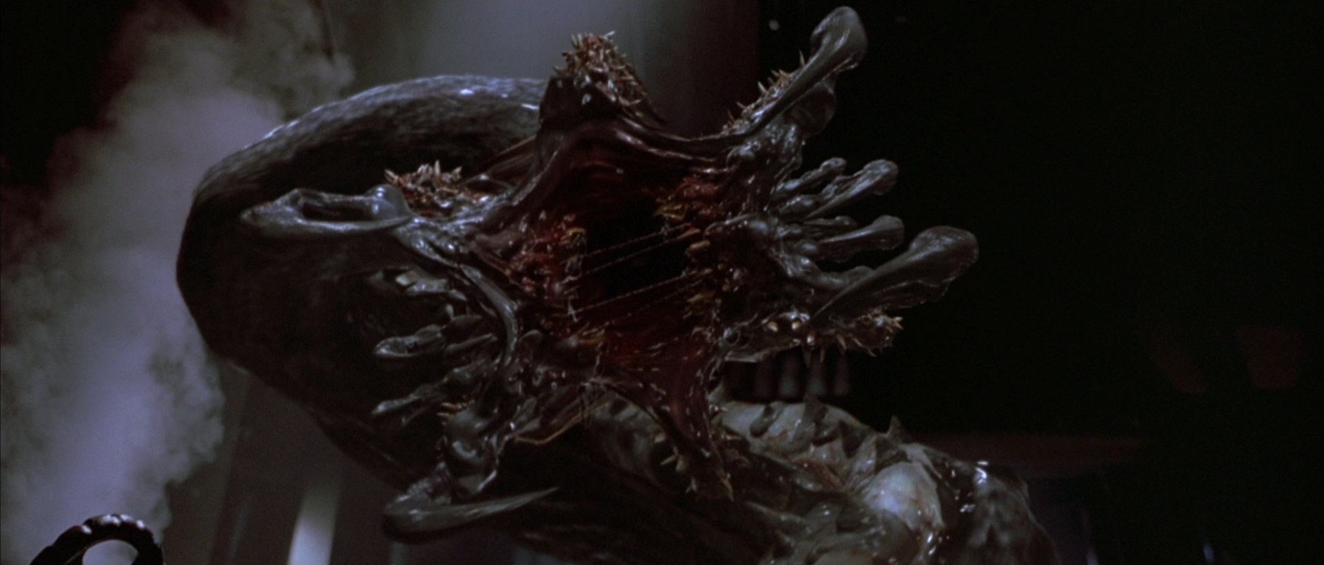 Cena do filme - Reprodução