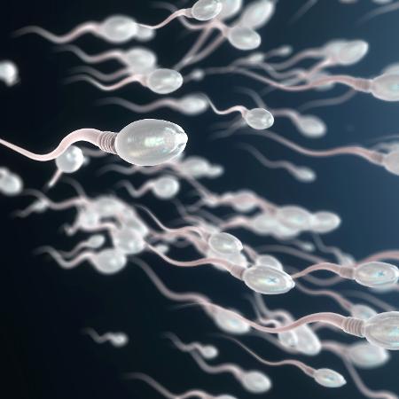 São os mais antigos espermatozoides encontrados até hoje - iStock