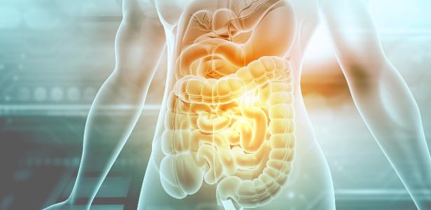 Cover image for Além da dieta: 4 hábitos que também influenciam a saúde do seu intestino