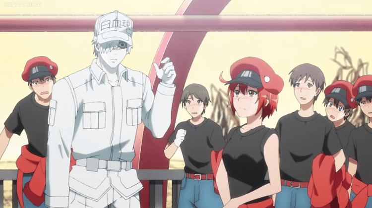 Anime "Cells at Work!"