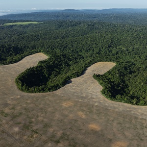 Brasil perde uma Bolívia em áreas naturais em 40 anos, aponta MapBiomas