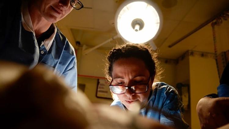 a fotógrafa Lauren Chenault fotografou o próprio parto - Divulgação/You're My Focus - Divulgação/You're My Focus