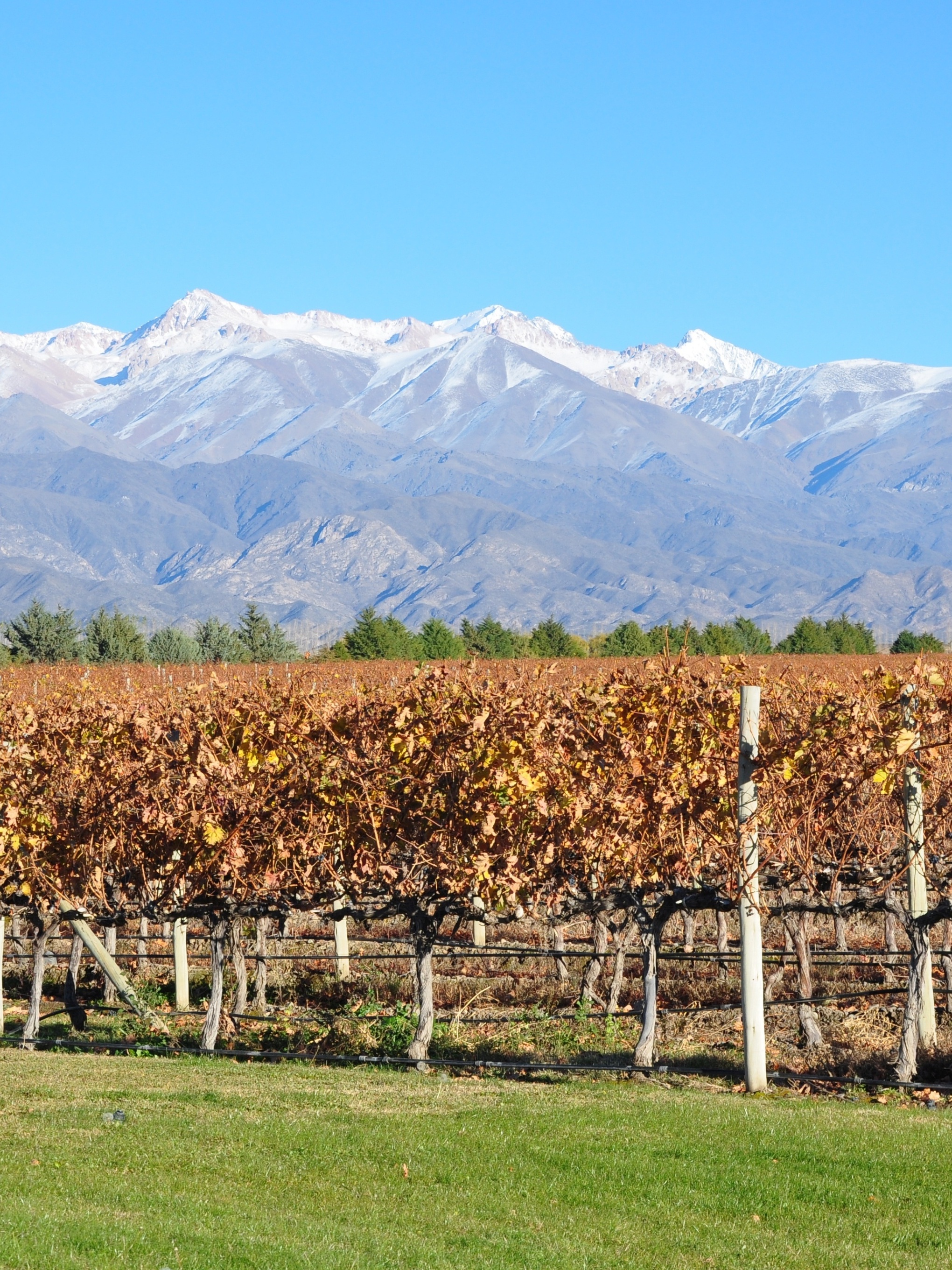 Viagem de carro para Mendoza, Argentina - Dezembro de 2019