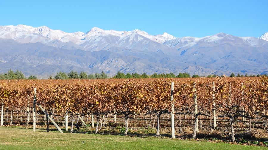 No clima desértico aos pés da Cordilheira dos Andes, Mendoza é um oásis de vinho e boa gastronomia - Divulgação/Secretaria de Turismo de Mendoza
