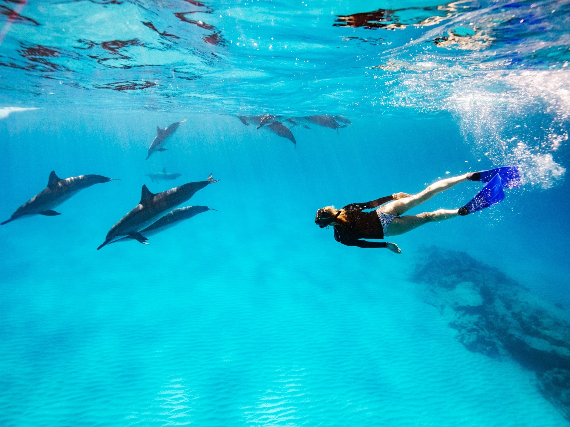 Saiba como é nadar com arraias em Stingray City, nas Ilhas Cayman