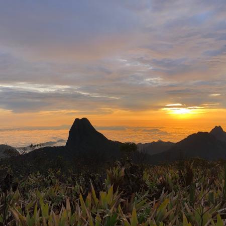 Vista panorâmica da Serra do Imeri, habitat das duas novas espécies de sapos