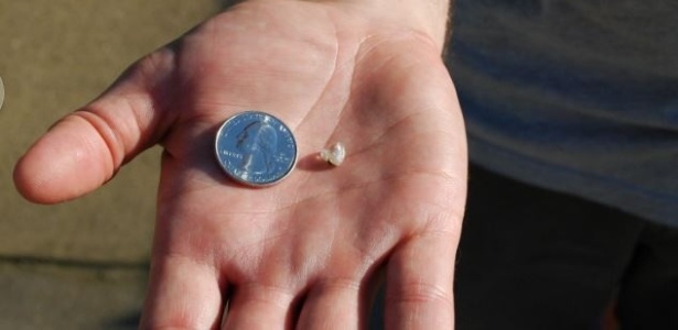 Frederick mostra, ao lado de uma moeda, o diamante que achou no parque americano - Divulgação/Crater of Diamonds State Park