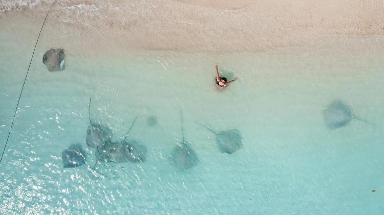 Nadar com arraias em um mar transparente é só um dos sonhos de quem procura as Maldivas - Monah Legat - Monah Legat
