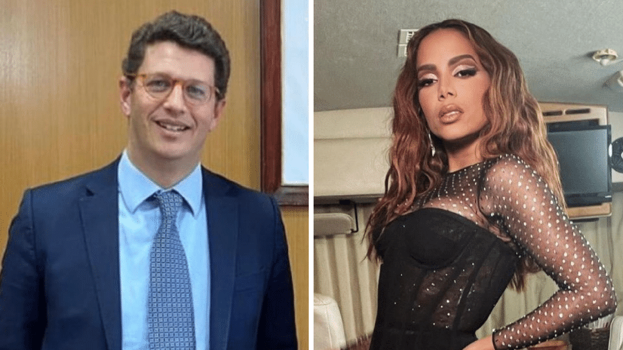 Anitta voltou a criticar ex-ministro Ricardo Salles no Twitter - Reprodução/ Instagram