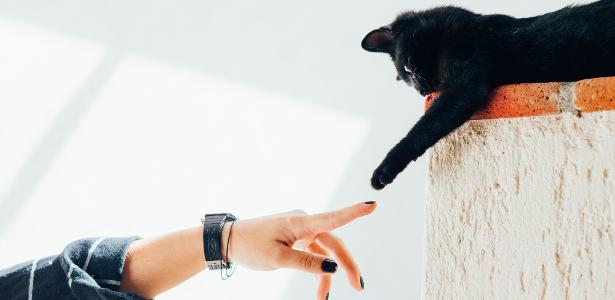 Petz e Cobasi reagem e dizem que fusão não vai restringir concorrência