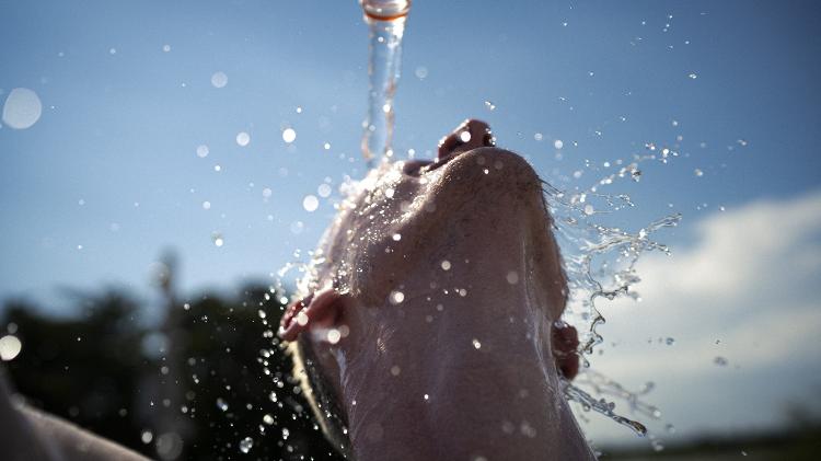 Onda de calor: hidratar-se é fundamental para não sofrer