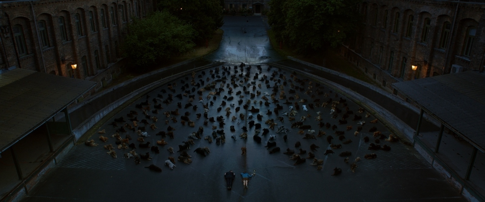 Cena de "White God" - Divulgação