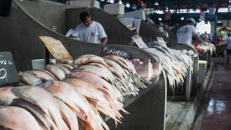 ver o peso - boieiras - peixes - Getty Images - Getty Images