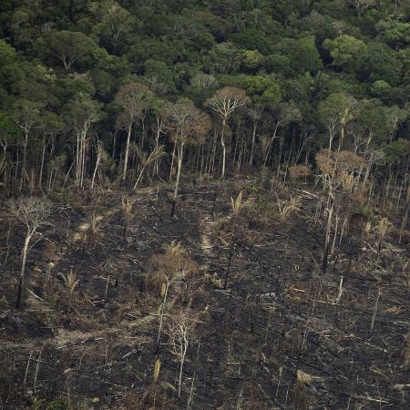 Imagem meramente ilustrativa - Projetos de estradas na Amazônia poderiam levar ao desmatamento de milhões de hectares ao longo dos próximos 20 anos, disseram pesquisadores ambientais - Bruno Rocha /Fotoarena/Folhapress