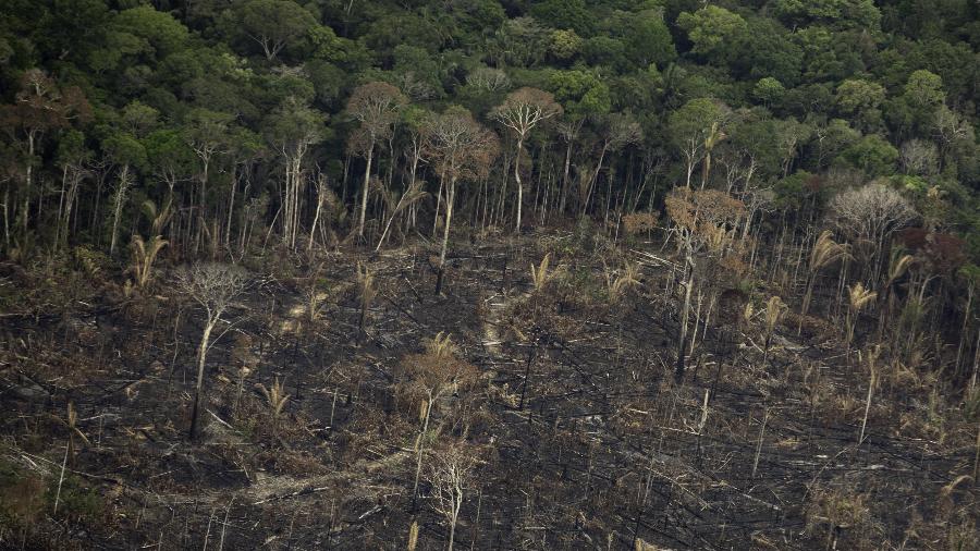 Terreno desmatado e queimado é visto na Amazônia nos arredores de Porto Velho, em Rondônia - Bruno Rocha /Fotoarena/Folhapress