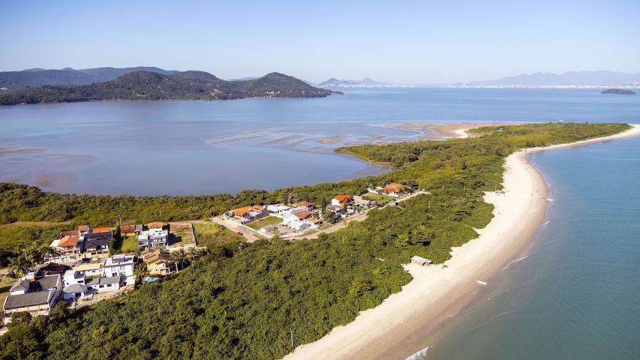 Manguezal na Ponta da Daniela, península no norte da Ilha de Santa Catarina que possivelmente desaparecerá com o aumento do nível do mar