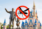 Por que não existem mosquitos na Disney? - Nossa/UOL