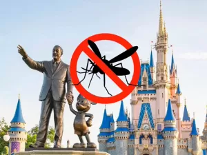 Por que não existem mosquitos na Disney?