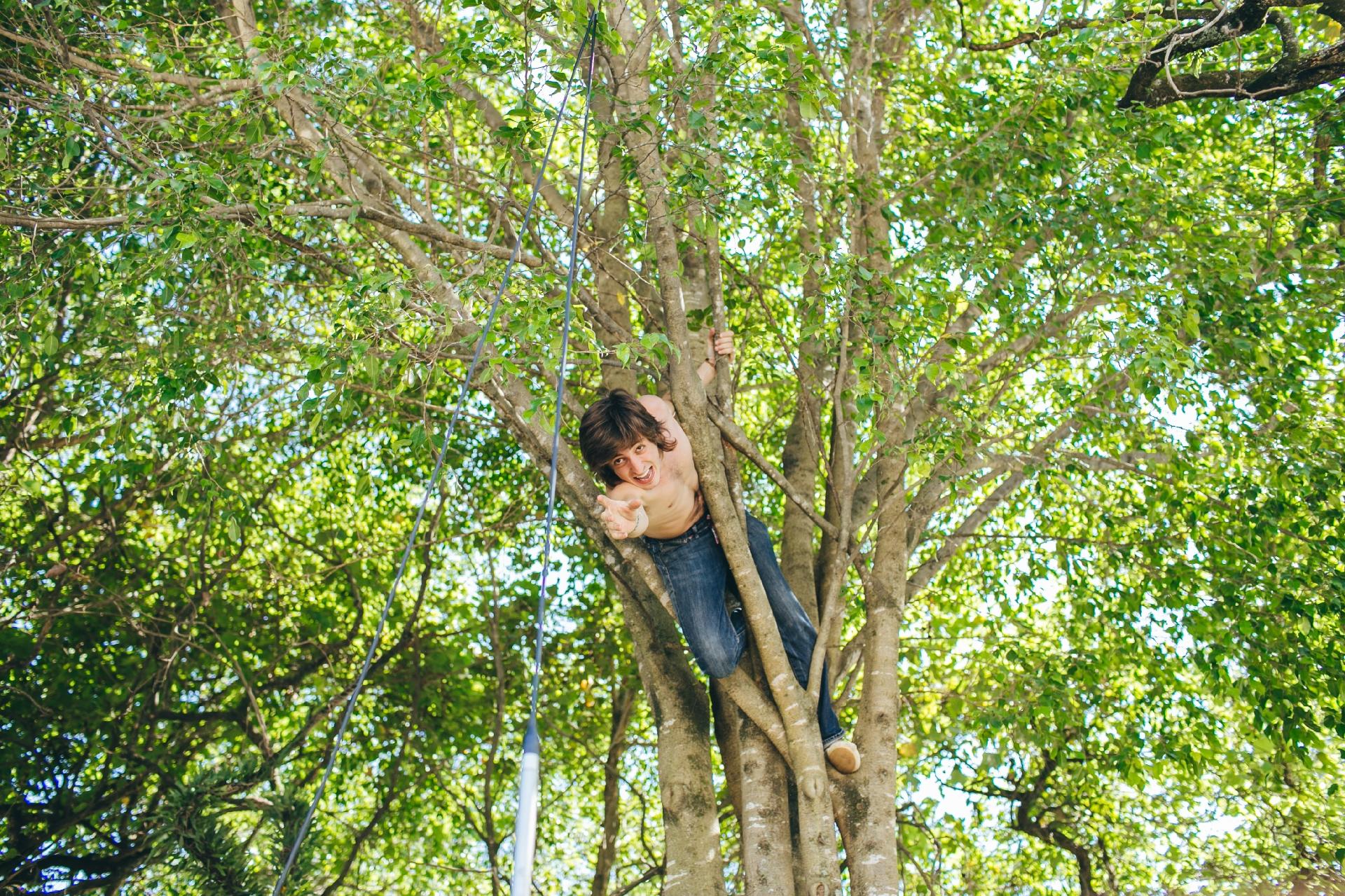Johnny Franco, do WasaDogs, sobe em árvore na organização do "Lolla pra Rua" - Felipe Gabriel/UOL