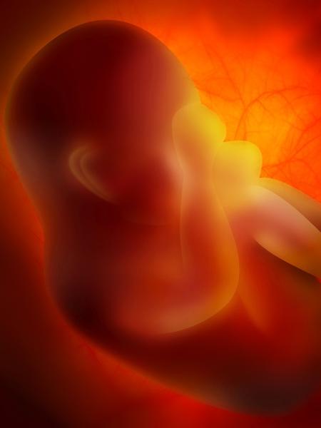 Recém-nascidos já carregamuma programação metabólica dos pais no nascimento - iStock