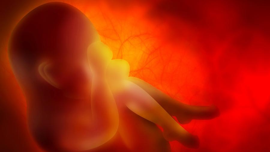 Bebês fazem xixi dentro do útero a partir do quinto mês de gestação - iStock