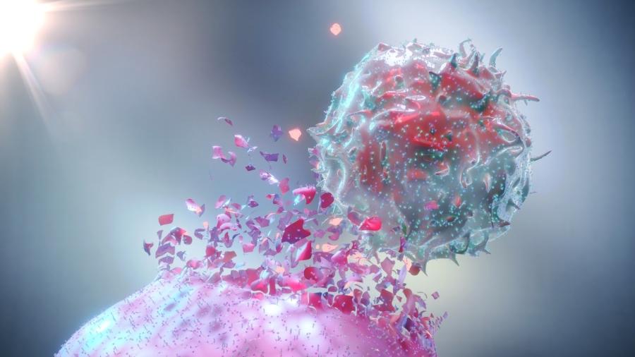Combinação de nivolumabe e ipilimumabe estimula células de defesa do organismo a combaterem as células tumorais - iStock