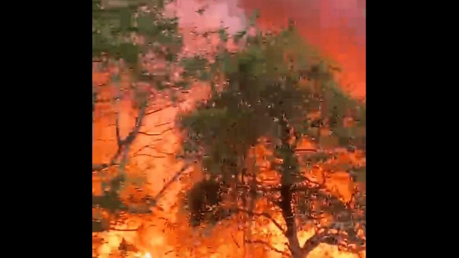 Incêndio atingiu área dos Estúdios Globo no Rio - Reprodução
