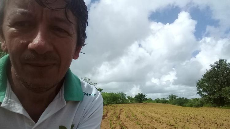 Plantação de Seu Euzébio, cultivada com 'sementes da paixão', nome carinhoso dado às sementes nativas - Arquivo pessoal/Euzébio Cavalcanti - Arquivo pessoal/Euzébio Cavalcanti