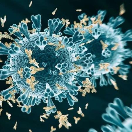 Anticorpos contra o coronavírus - Getty Images