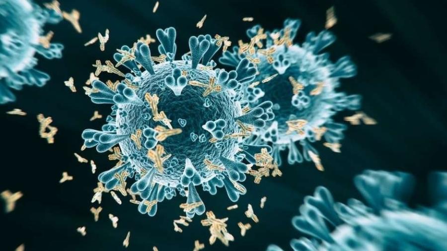Nosso corpo tem memória imunológica e não mantém a produção de anticorpos contra o coranavírus a todo vapor o tempo inteiro, somente quando é exposto ao vírus - Getty Images