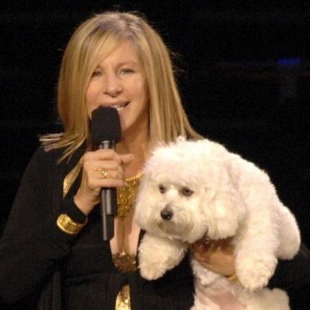 Barbra Streisand completa 80 anos  - Getty Images