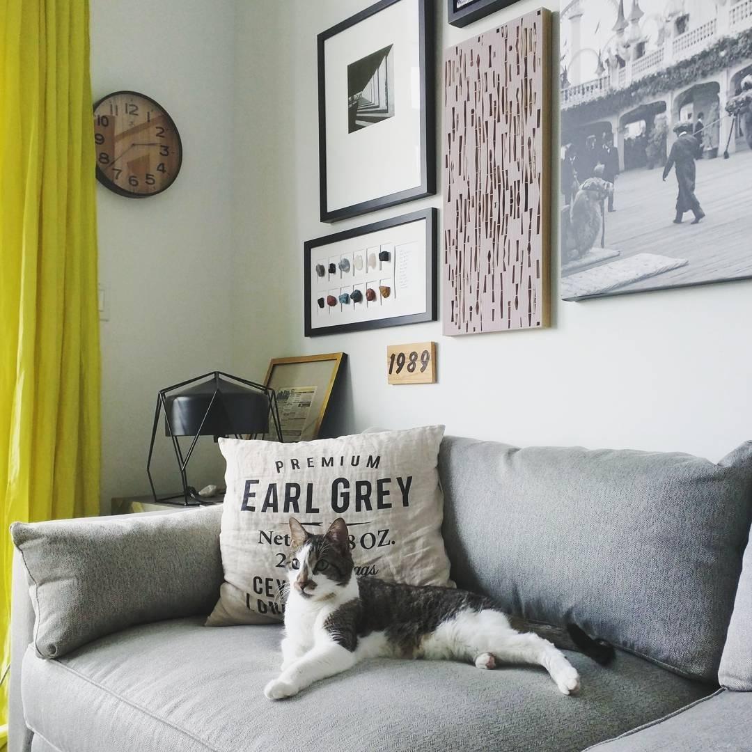 Na hora de se inspirar, a designer de interiores norte-americana Luna Grey conta com a ajuda do seu gatinho: ele é o elemento mais lindo e amado a compor a decoração super descolada da sala - Instagram/@lunagreyinteriors