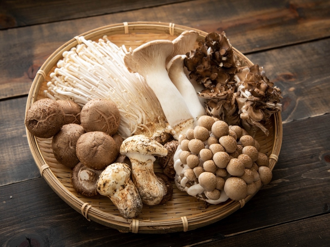 Como preparar os cogumelos Paris, shiitake e shimeji