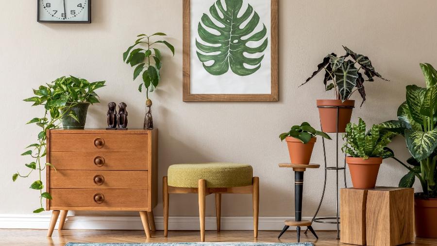 Decoração com quadros e plantas - Getty Images/iStockphoto