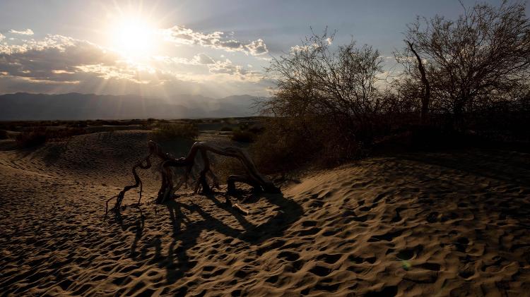 Parque no sul da Califórnia, nos EUA, registrou temperaturas extremas em julho de 2024